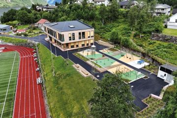 Hyen skule