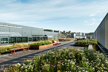 Green Roof Award 2023