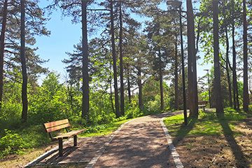 Tokerudparken